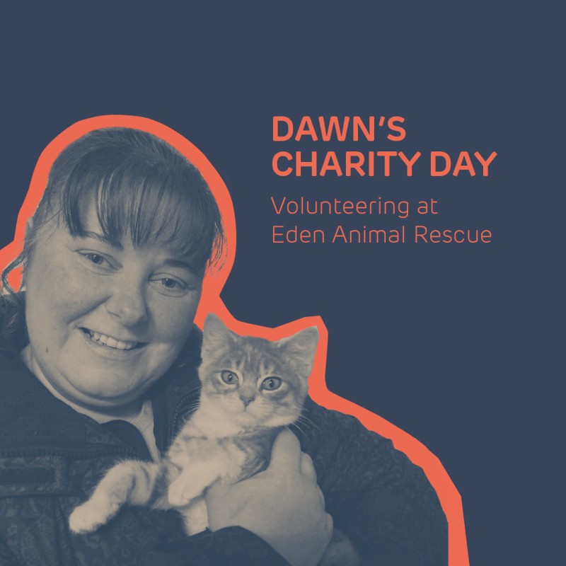 Dawn's charity day, volunteering at Eden Animal Rescue